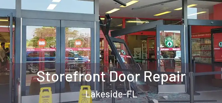  Storefront Door Repair Lakeside-FL